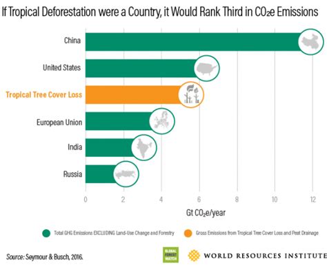 Five ways to tackle global deforestation | World Economic Forum