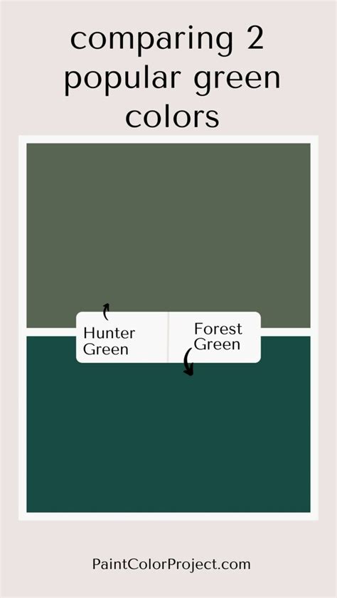 Forest Green vs Hunter Green: what is the difference? - The Paint Color ...