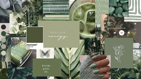 Sage green aesthetic desktop collage | Iphone wallpaper green ...