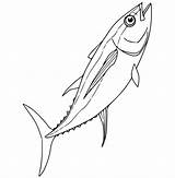 Tuna Coloring Pages  Free Printable For Kids sketch template