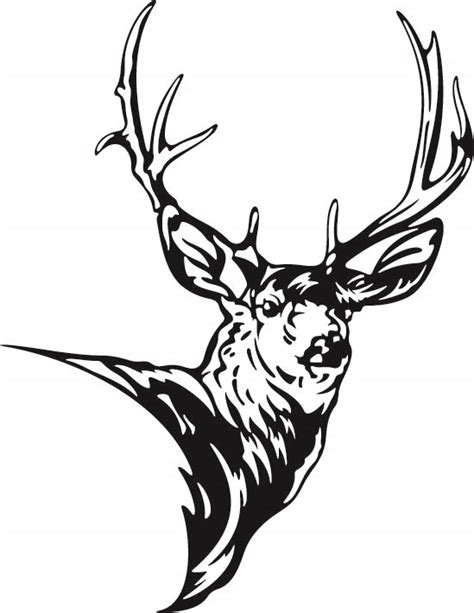 Reindeer Antler Elk Red deer - deer head png download - 500*500 - Free Transparent Deer png ...