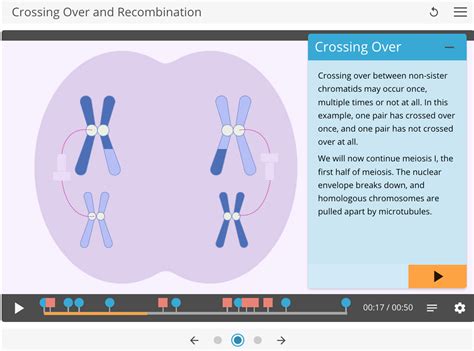 LearnSci LabSim: Crossing Over and Recombination