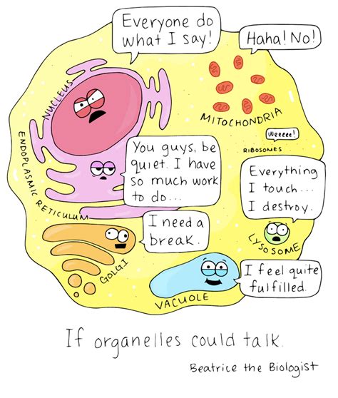 If Organelles Could Talk - Beatrice the Biologist