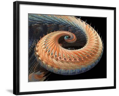 'Dragon Tail Fractal' Photographic Print - Laguna Design | Art.com