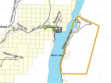 Evacuation alert issued for wildfire on east side of Mabel Lake | The ...