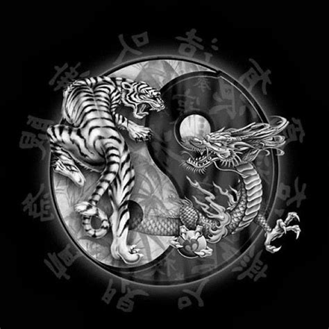 Black and White Yin Yang Dragon Tiger Tattoo