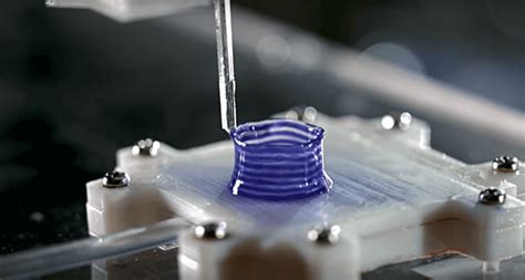 3D Bioprinting