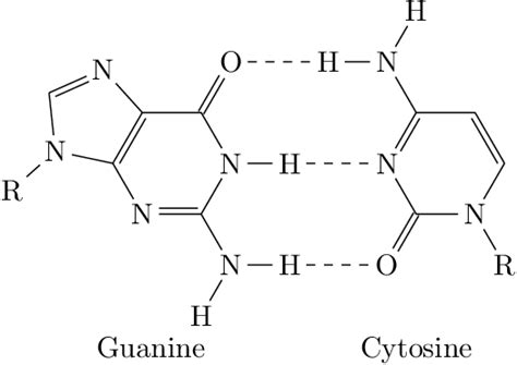 tikz pgf - Complementary pairs of Guanine and Cytosine - TeX - LaTeX ...