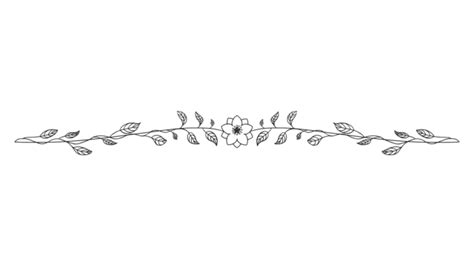 Transparent White Floral Divider Free Transparent Clipart Clipartkey | The Best Porn Website