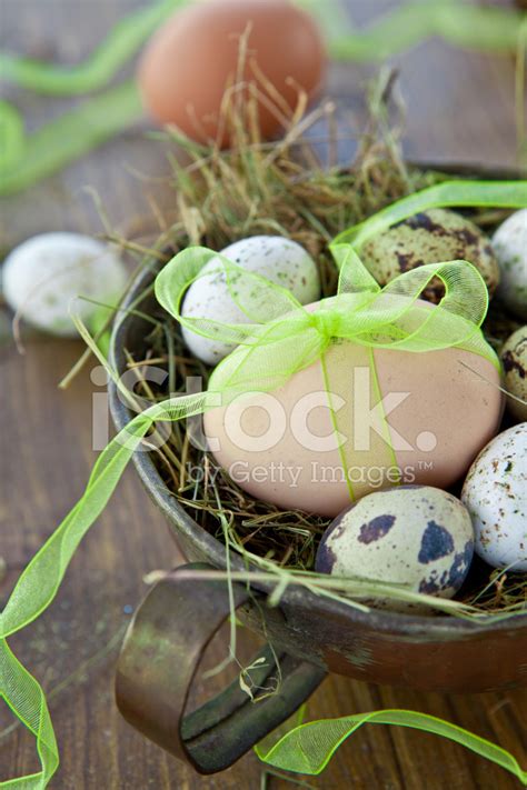 Various Raw Eggs Stock Photo | Royalty-Free | FreeImages