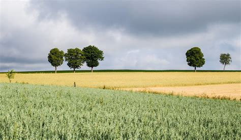 Luxembourg Landscape | R Boed | Flickr