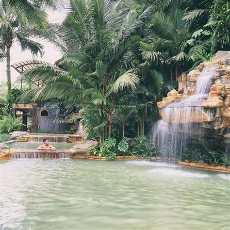 an outdoor swimming pool with waterfall and palm trees