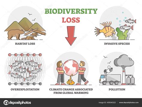 Biodiversity loss issues and causes as climate ecosystem problem ...