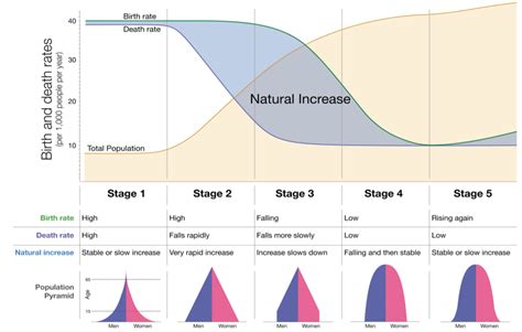 El modelo de transición demográfica (Roser, 2016a). | Download Scientific Diagram