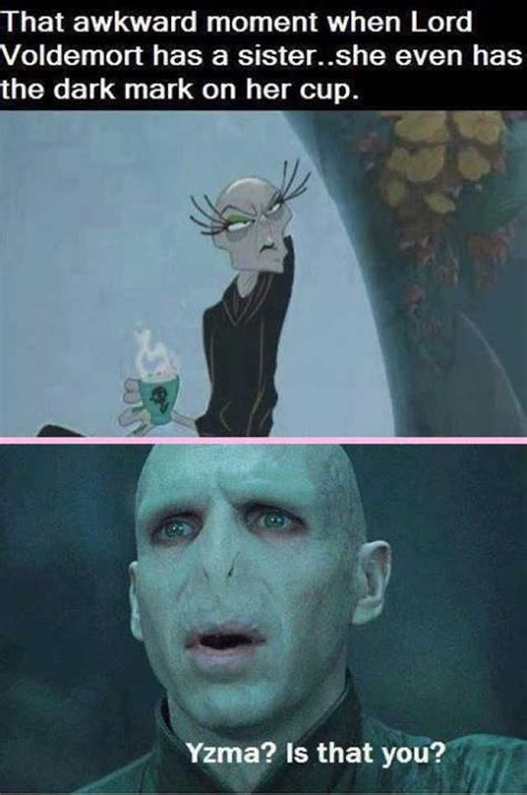 Harry Potter: 25 Memes That Show That Voldemort Makes No Sense | Harry ...