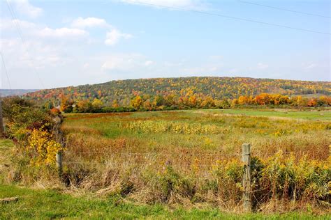 My Life On A Plate: New York's Finger Lakes... Fall Foliage Extraordinaire