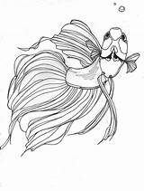 Male Betta Fish Coloring Pages sketch template