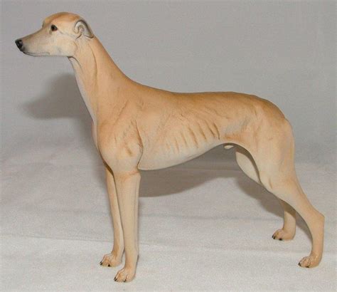 Greyhound Fawn (North Light @ Wade)