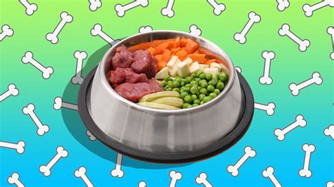 Yes, You Can Make Pet Food In Your Slow-Cooker — Here's How