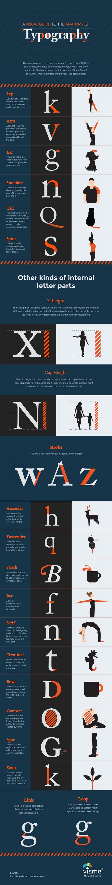 Typography: Terminology You Should Know [Infographic] | Anatomy of ...