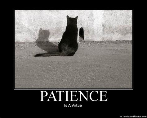 Funny Quotes About Patience. QuotesGram