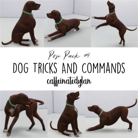 FlatBStanley CC Finds : caffeinatedylan: Dog Tricks & Commands Pose ...