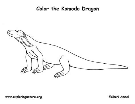 Komodo Dragon Coloring Page