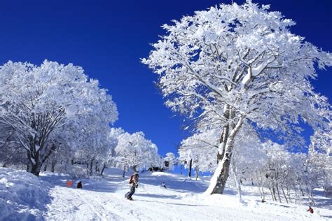 Nozawa Onsen Ski Resort, Japan - Ski Bookings