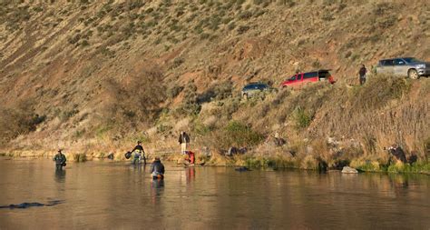 Owyhee River - Fly Fishing | Gink and Gasoline | How to Fly Fish | Trout Fishing | Fly Tying ...