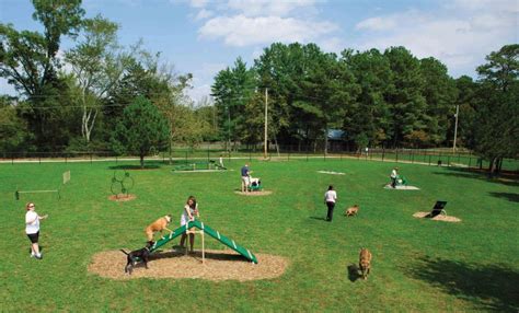 4 Benefits of Dog Parks in Communities | Cunningham Recreation