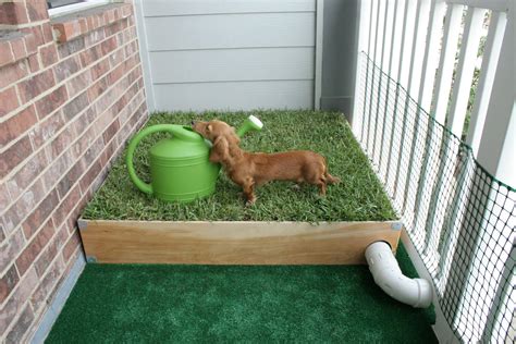 Dog Porch Potty with Real Grass and Drainage System | Porch potty, Dog ...