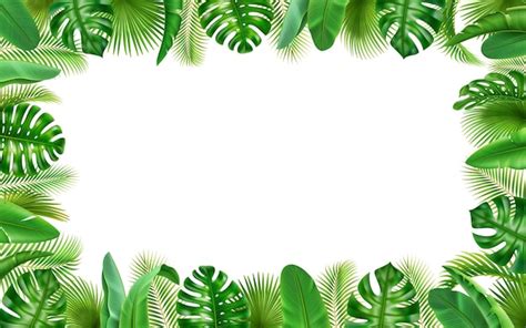 Premium Vector | Tropical leaves frame background border green leaf