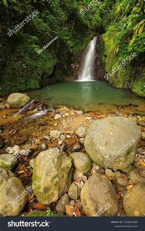 Seven Sisters Waterfall Grenada: Over 11 Royalty-Free Licensable Stock ...