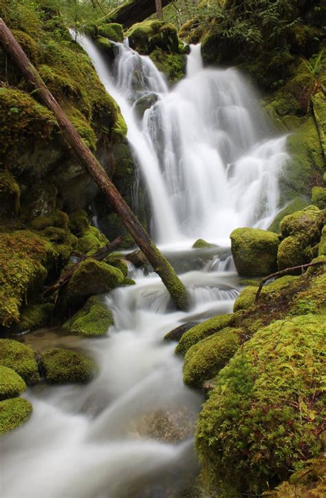 Forest Glen Falls | Hiking trip, Places to visit, Forest glen