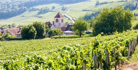 Learn About The Champagne Wine Region of France