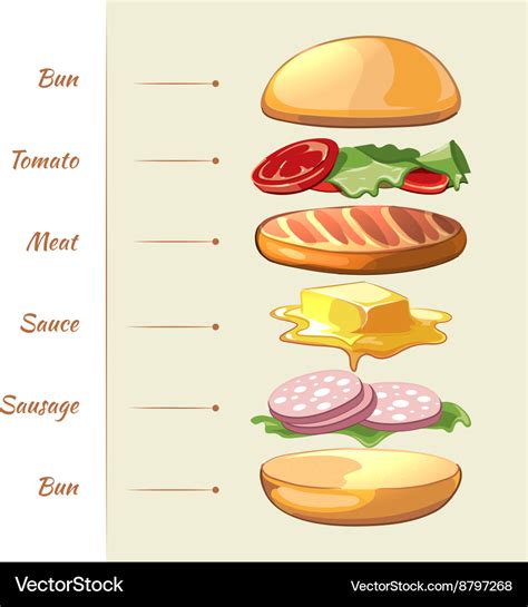 Hamburger ingredients infographics Royalty Free Vector Image