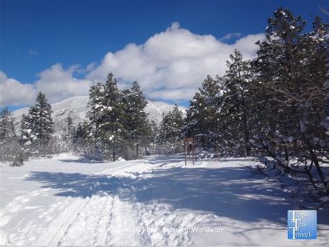 A Winter Wonderland in Flagstaff, Arizona - Top Ten Travel Blog ...