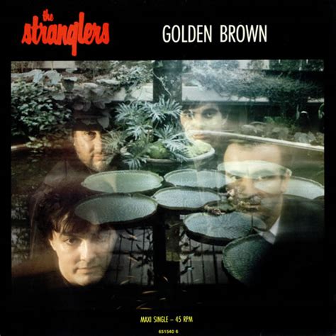 The Stranglers Golden Brown Dutch 12" vinyl single (12 inch record ...