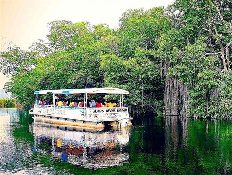 Black River Safari | Family Reunion