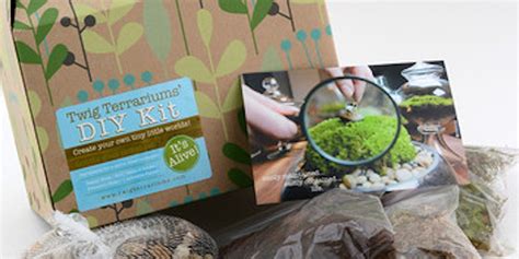 DIY Terrarium Kit - Product Information, Latest Updates, and Reviews 2024 | Product Hunt