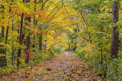 These Small Towns Have the Most Stunning Fall Foliage for Leaf Peeping ...