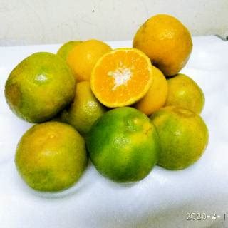 Jual Buah Jeruk Keprok Garut | Jeruk Segar Juicy | Shopee Indonesia