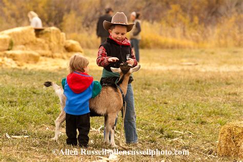 Kids play with goat at farm | Allen Russell Photography