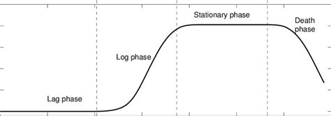 Phases of a typical bacterial growth curve. See the main text for a... | Download Scientific Diagram