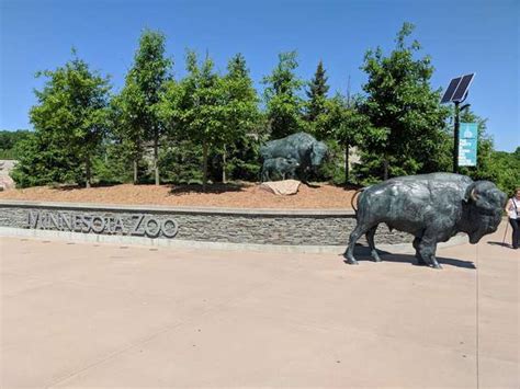 Best 4 Things to Do in Minnesota Zoo Minneapolis