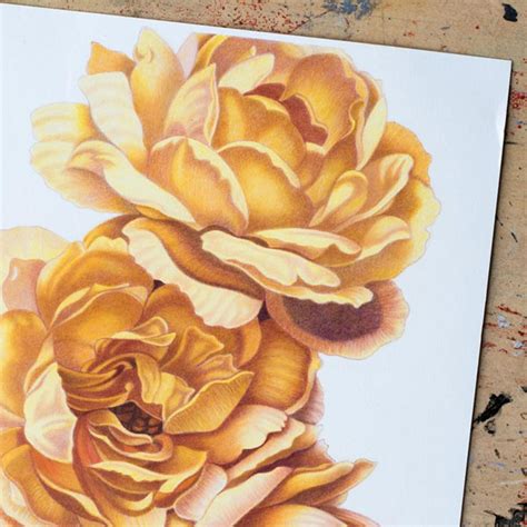 Light & Shading with Colored Pencils Drawing Class | Craftsy | Pencil ...