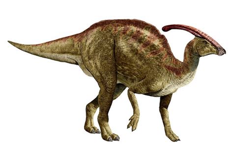 Art illustration - Dinosaurs - Parasaurolophus: is a genus of dinosaur ...