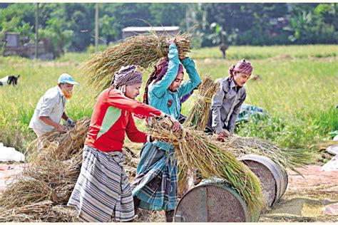 Finance News: Latest Financial News, Finance News today in Bangladesh