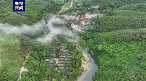 海南热带雨林国家公园核心保护区生态搬迁工作基本完成-新闻中心-南海网