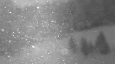 Black And White Snow GIF - Find & Share on GIPHY